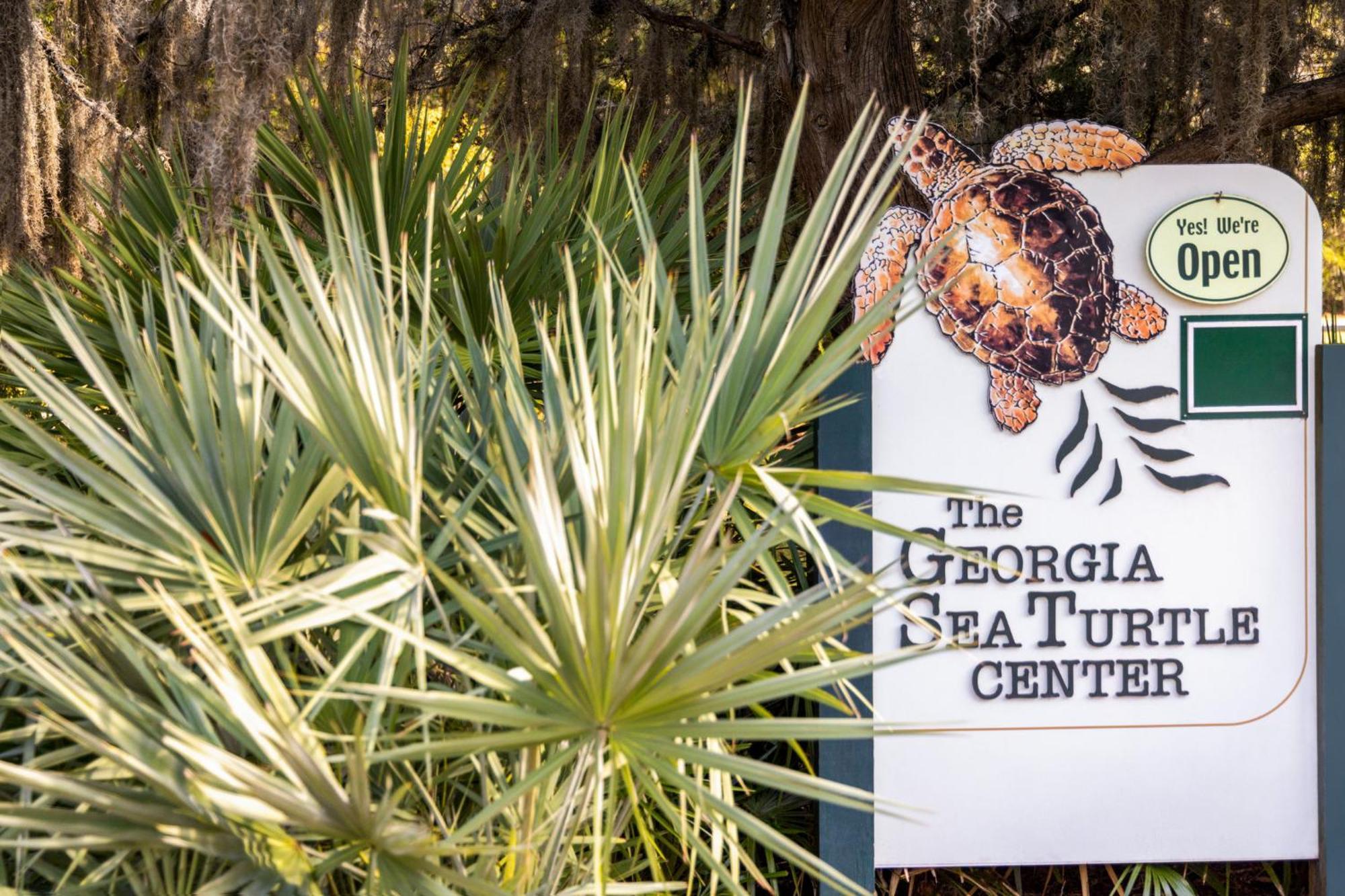 Holiday Inn Resort Jekyll Island By Ihg Esterno foto